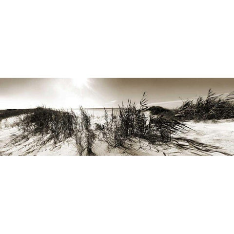 The Wind in the Dunes I Black Modern Wood Framed Art Print by Bay, Noah