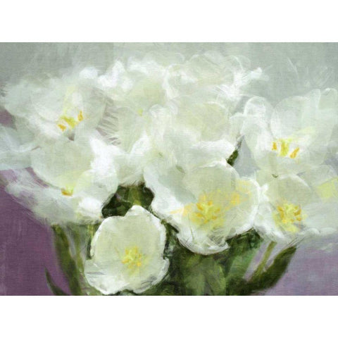 Sunlit Tulips I Black Modern Wood Framed Art Print with Double Matting by Bay, Noah