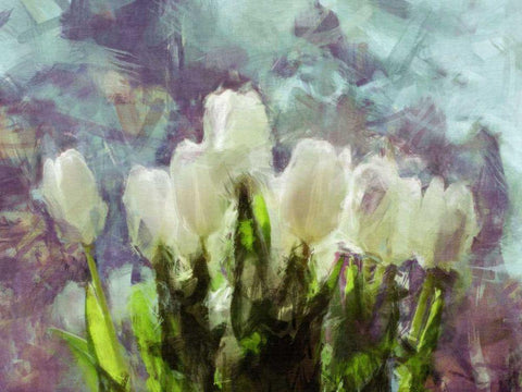 Sunlit Tulips II Black Ornate Wood Framed Art Print with Double Matting by Bay, Noah