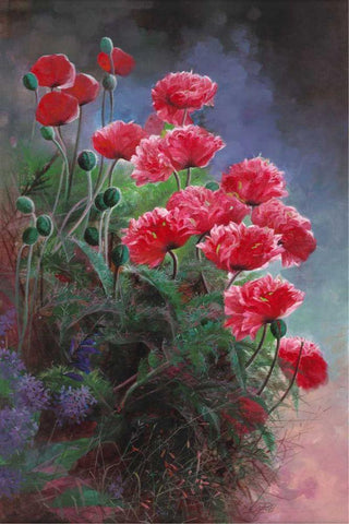 Vibrant Poppies White Modern Wood Framed Art Print with Double Matting by Bo, Li
