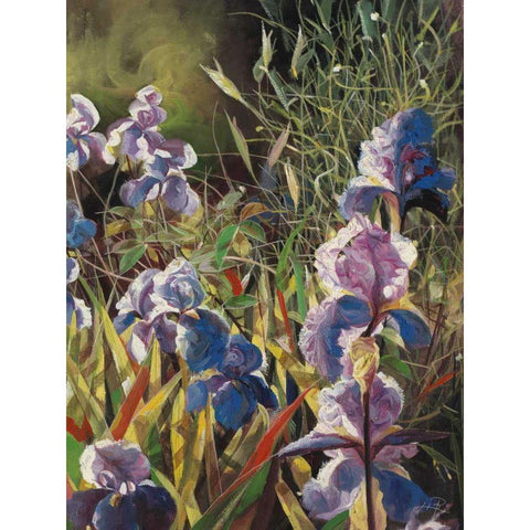 Iris Garden II Black Modern Wood Framed Art Print by Bo, Li