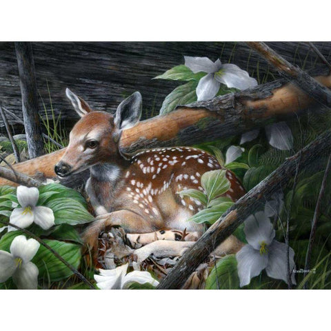 Undercover I White Modern Wood Framed Art Print by Daniel, Kevin