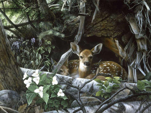 Undercover II Black Ornate Wood Framed Art Print with Double Matting by Daniel, Kevin