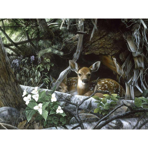 Undercover II Black Modern Wood Framed Art Print with Double Matting by Daniel, Kevin