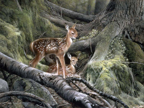 Awakening White Modern Wood Framed Art Print with Double Matting by Daniel, Kevin