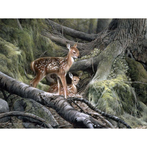 Awakening Black Modern Wood Framed Art Print with Double Matting by Daniel, Kevin