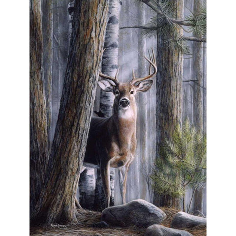 Simply Curious II Black Modern Wood Framed Art Print by Daniel, Kevin