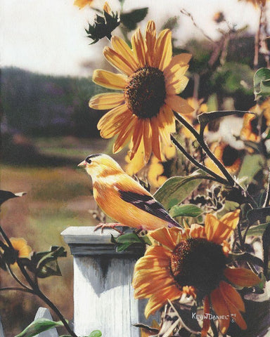 A Golden Morning Black Ornate Wood Framed Art Print with Double Matting by Daniel, Kevin