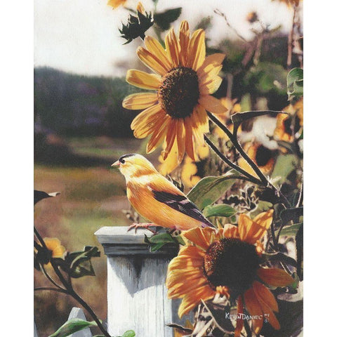 A Golden Morning Black Modern Wood Framed Art Print with Double Matting by Daniel, Kevin