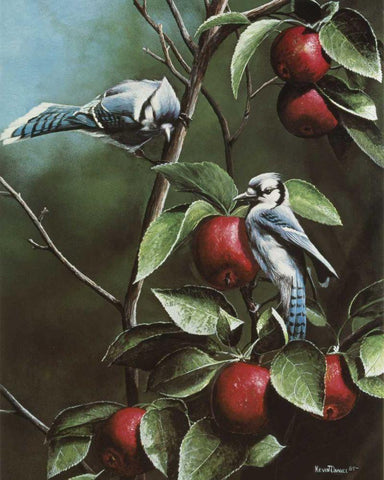 Summer Blue Jays Black Ornate Wood Framed Art Print with Double Matting by Daniel, Kevin