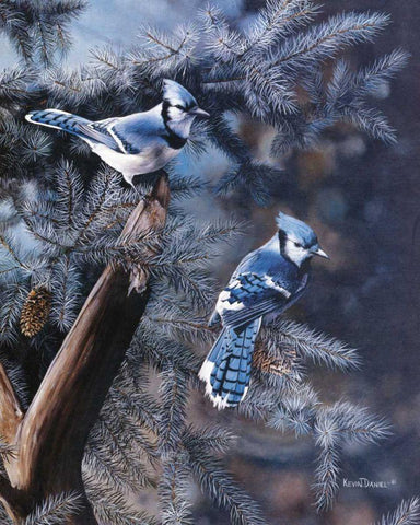 A Touch of Blue White Modern Wood Framed Art Print with Double Matting by Daniel, Kevin