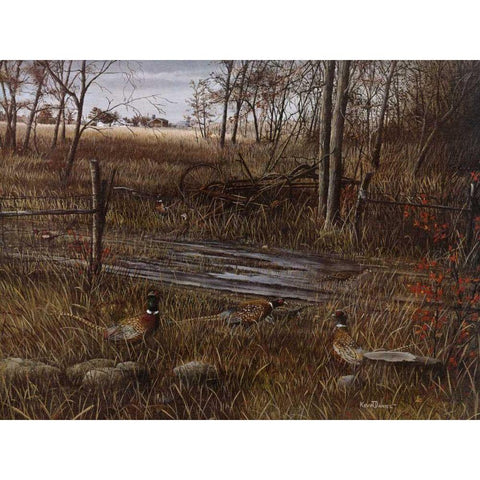 Backroad Gathering Black Modern Wood Framed Art Print by Daniel, Kevin