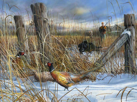 Corner Post Black Ornate Wood Framed Art Print with Double Matting by Daniel, Kevin