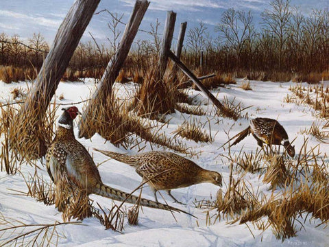 Daybreak White Modern Wood Framed Art Print with Double Matting by Daniel, Kevin