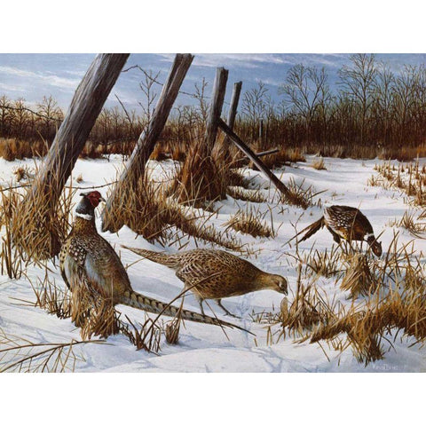 Daybreak Gold Ornate Wood Framed Art Print with Double Matting by Daniel, Kevin