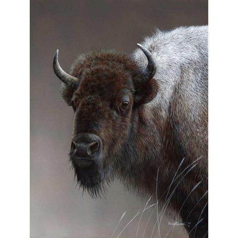 American Icon- Buffalo White Modern Wood Framed Art Print by Daniel, Kevin