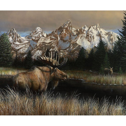 Teton Majesty Black Modern Wood Framed Art Print by Daniel, Kevin