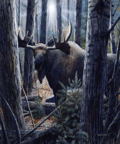 King of the Northwoods Black Ornate Wood Framed Art Print with Double Matting by Daniel, Kevin
