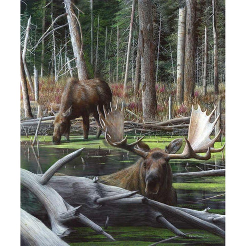 At Rivers Edge I White Modern Wood Framed Art Print by Daniel, Kevin