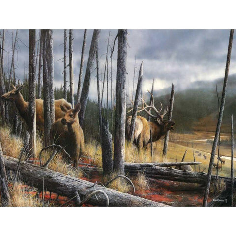 Consequence of Time White Modern Wood Framed Art Print by Daniel, Kevin