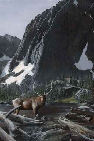 Mountainside Elk I Black Ornate Wood Framed Art Print with Double Matting by Daniel, Kevin