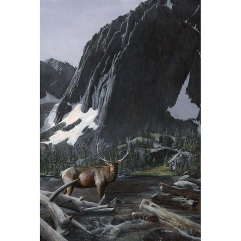 Mountainside Elk I Black Modern Wood Framed Art Print by Daniel, Kevin