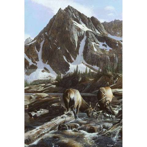Mountainside Elk II Black Modern Wood Framed Art Print with Double Matting by Daniel, Kevin