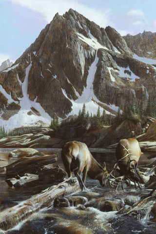 Mountainside Elk II White Modern Wood Framed Art Print with Double Matting by Daniel, Kevin
