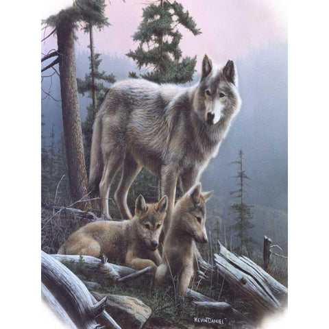 Vantage Point I Black Modern Wood Framed Art Print with Double Matting by Daniel, Kevin