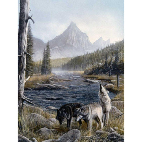 Vantage Point II Gold Ornate Wood Framed Art Print with Double Matting by Daniel, Kevin