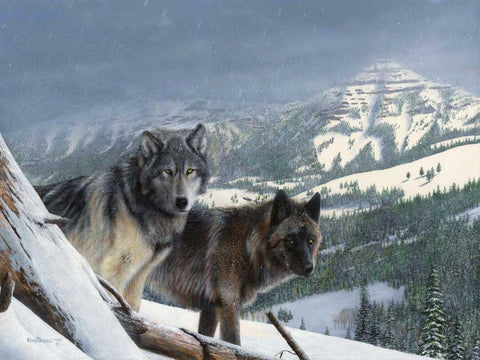 Vantage Point III Black Ornate Wood Framed Art Print with Double Matting by Daniel, Kevin