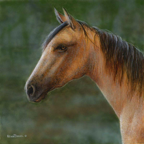 Mustang Black Ornate Wood Framed Art Print with Double Matting by Daniel, Kevin