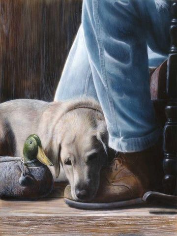 Resting Spot Black Ornate Wood Framed Art Print with Double Matting by Daniel, Kevin