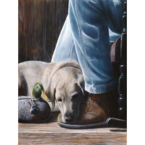 Resting Spot Black Modern Wood Framed Art Print by Daniel, Kevin