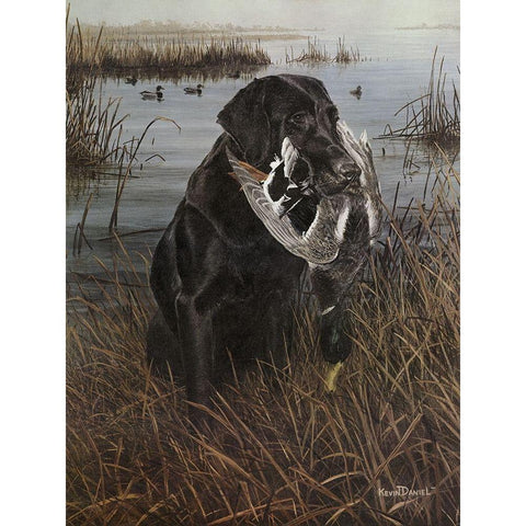 A Friend in the Marsh White Modern Wood Framed Art Print by Daniel, Kevin