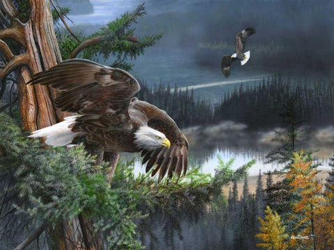 Wings of Freedom Black Ornate Wood Framed Art Print with Double Matting by Daniel, Kevin