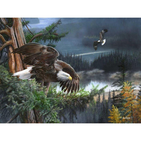 Wings of Freedom White Modern Wood Framed Art Print by Daniel, Kevin