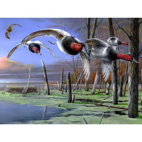 Backwater Cans Black Modern Wood Framed Art Print with Double Matting by Daniel, Kevin