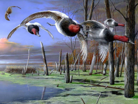 Backwater Cans Black Ornate Wood Framed Art Print with Double Matting by Daniel, Kevin