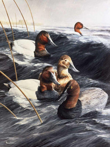 The Lost Decoy Black Ornate Wood Framed Art Print with Double Matting by Daniel, Kevin