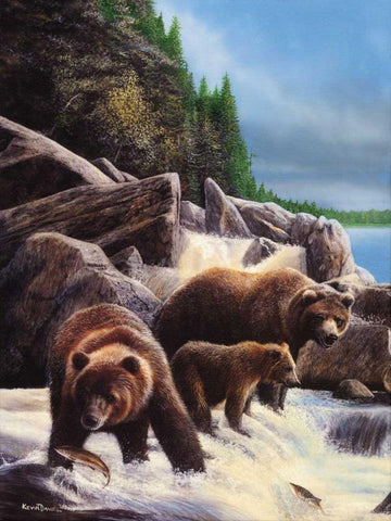 Grizzlies by Falls White Modern Wood Framed Art Print with Double Matting by Daniel, Kevin