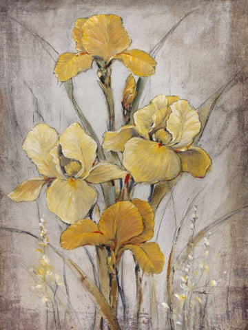 Golden Irises I Black Ornate Wood Framed Art Print with Double Matting by OToole, Tim