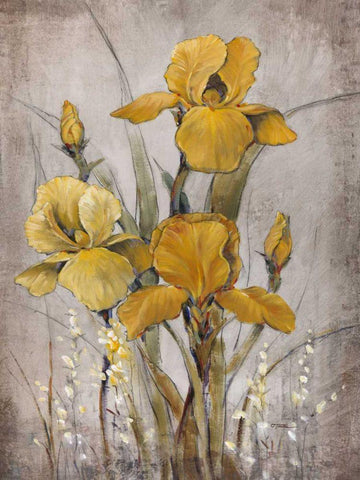 Golden Irises II White Modern Wood Framed Art Print with Double Matting by OToole, Tim