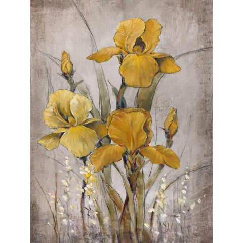 Golden Irises II Gold Ornate Wood Framed Art Print with Double Matting by OToole, Tim