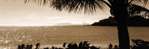 After the Rains Black Ornate Wood Framed Art Print with Double Matting by Bay, Noah