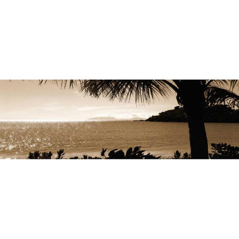 After the Rains Black Modern Wood Framed Art Print by Bay, Noah