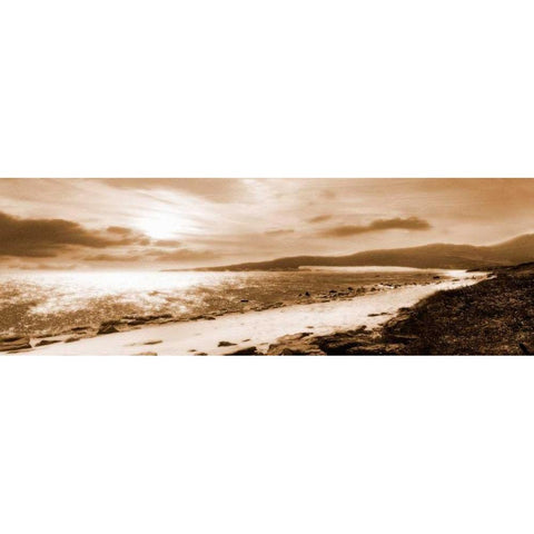 Through the Dunes White Modern Wood Framed Art Print by Bay, Noah