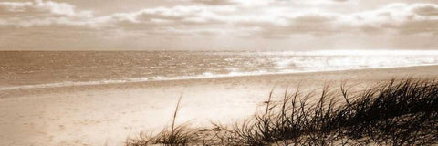 Ozone Black Ornate Wood Framed Art Print with Double Matting by Bay, Noah