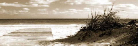 Boardwalk Shadows Black Ornate Wood Framed Art Print with Double Matting by Bay, Noah