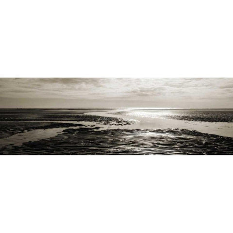 Tidal Streams Black Modern Wood Framed Art Print with Double Matting by Bay, Noah